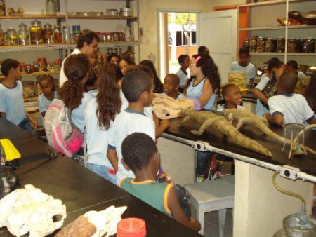 DIAGNÓSTICO DO ENSINO DE ZOOLOGIA A PARTIR DA ANALISE DO COMPLEXO “ESCOLA-LICENCIATURA” EM ESCOLAS MUNICIPAIS DE MANAUS, AMAZONAS